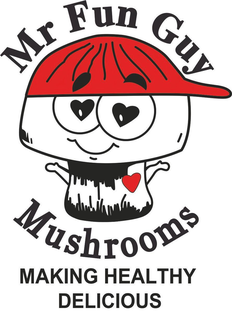 MR FUN GUY MUSHROOMS MAKING HEALTHY DELICIOUS trademark