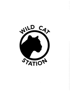 WILD CAT STATION trademark