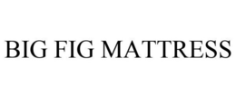 BIG FIG MATTRESS trademark