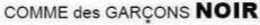 COMME DES GARCONS NOIR trademark