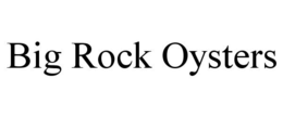 BIG ROCK OYSTERS trademark