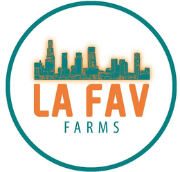 LA FAV FARMS trademark