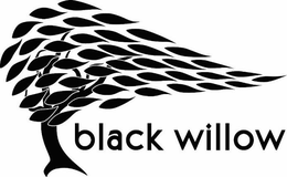 BLACK WILLOW trademark