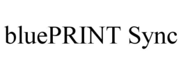 BLUEPRINT SYNC trademark