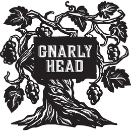 GNARLY HEAD trademark