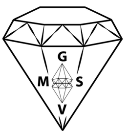 GMVS trademark