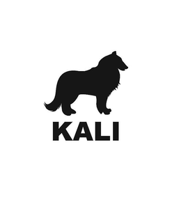 KALI trademark
