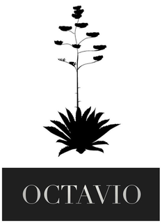 OCTAVIO trademark