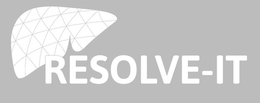 RESOLVE-IT trademark