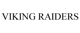 VIKING RAIDERS trademark