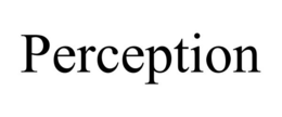 PERCEPTION trademark