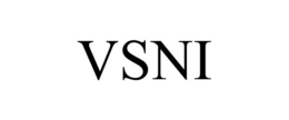 VSNI trademark