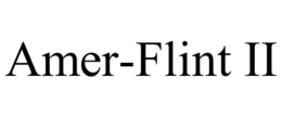AMER-FLINT II trademark