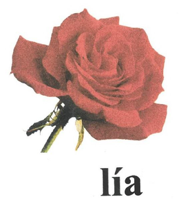 LÍA trademark