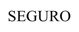 SEGURO trademark