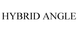HYBRID ANGLE trademark