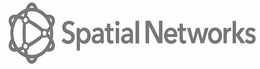 SPATIAL NETWORKS trademark
