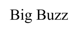 BIG BUZZ trademark