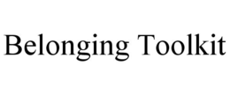 BELONGING TOOLKIT trademark