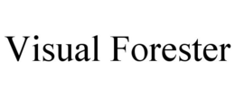 VISUAL FORESTER trademark