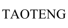 TAOTENG trademark