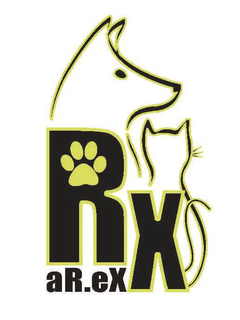 RX AR.EX trademark