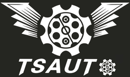 TSAUTO trademark