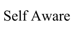 SELF AWARE trademark