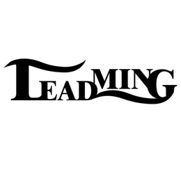 LEADMING trademark
