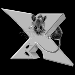 X trademark