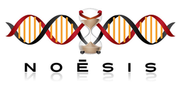 NOESIS trademark