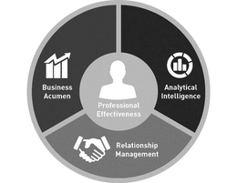 BUSINESS ACUMEN PROFESSIONAL EFFECTIVENESS ANALYTICAL INTELLIGENCE RELATIONSHIP MANAGEMENT trademark