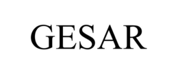 GESAR trademark