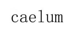 CAELUM trademark