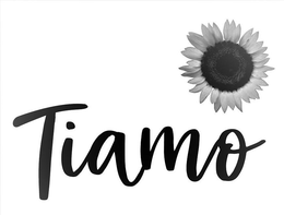 TIAMO trademark