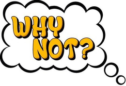 WHY NOT? trademark