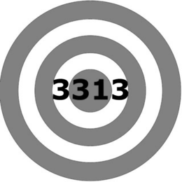 3313 trademark