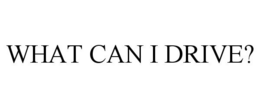 WHAT CAN I DRIVE? trademark