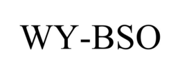 WY-BSO trademark