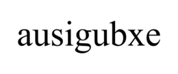 AUSIGUBXE trademark