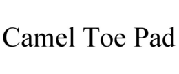 CAMEL TOE PAD trademark