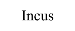 INCUS trademark