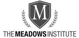 M THE MEADOWS INSTITUTE trademark