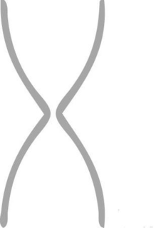 X trademark