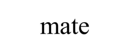 MATE trademark