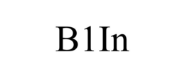 B1IN trademark