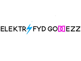 ELEKTRIFYD GODDEZZ trademark