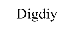 DIGDIY trademark