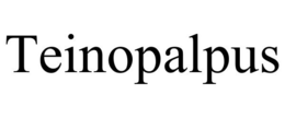 TEINOPALPUS trademark