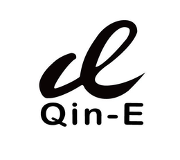 Q QIN-E trademark